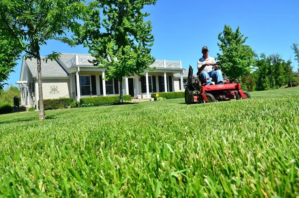 Lawn care worker on a red zero-turn mower cutting a thick green front lawn outside a brick home with trimmed hedges