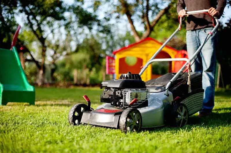 Person pushing a gas mower across a green backyard lawn on a sunny day