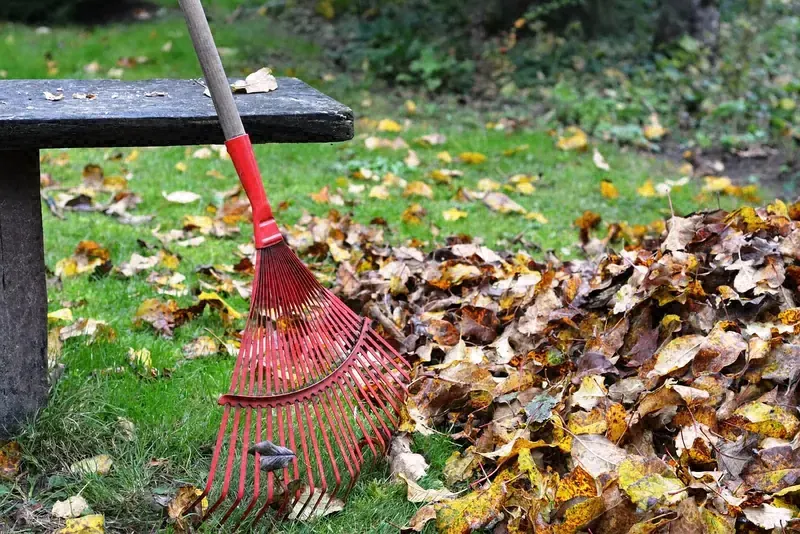 Red rake resting on a pile of brown fallen leaves on a green lawn