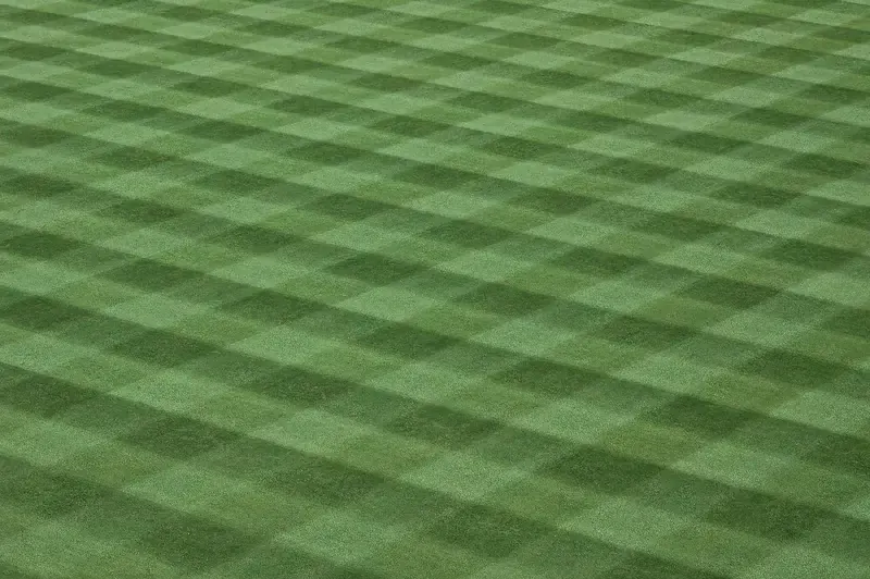 Freshly mowed turf with crisscross stripes